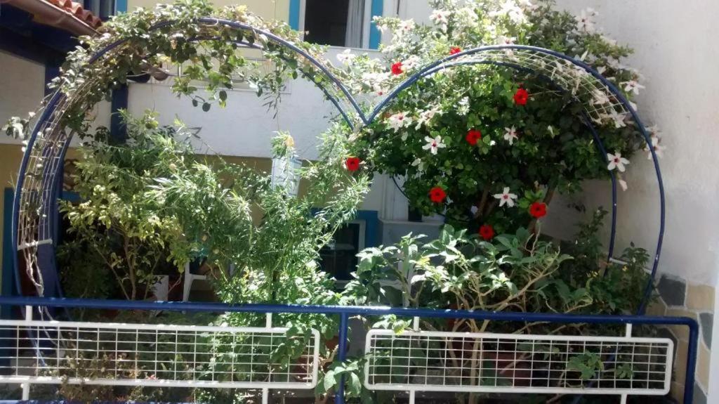 Apollonia Apartments Agia Pelagia  Luaran gambar